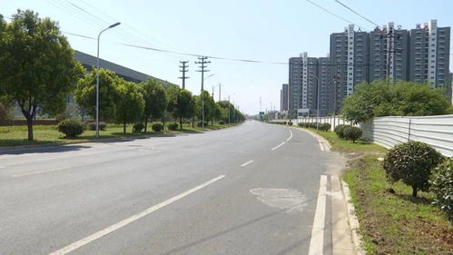 震惊！曾任市长市委书记的他竟主动投案，背后真相令人深思