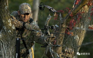 惊险！和县野猪入民宅，箭馆老板神操作三箭制伏
