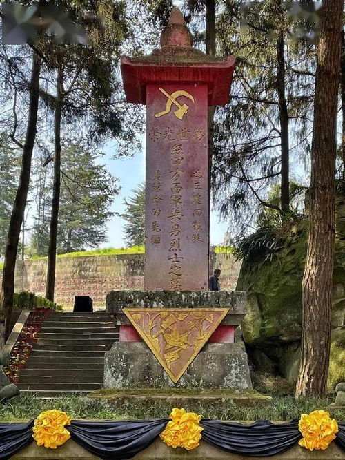 天价墓地惊现大反转！背后真相令人咋舌