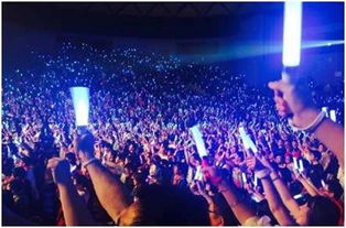 坦然粉丝应援现场