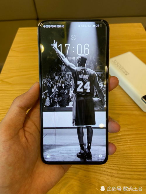 想象中的17 Pro背面