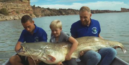 爱吃鱼的人嘴巴真紧！背后故事太有趣啦😎