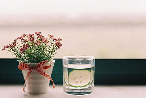 惊！给树浇开水，这操作太奇葩了吧