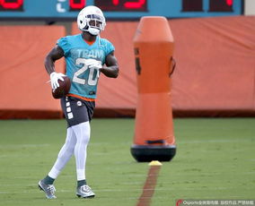 汤姆·布雷迪正在训练