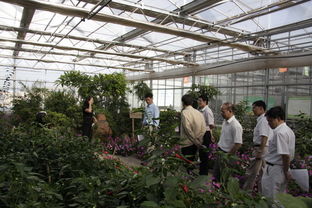 特色农业园里的景象