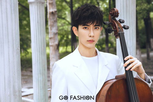 于朦胧坠亡事件背后的真相迷雾