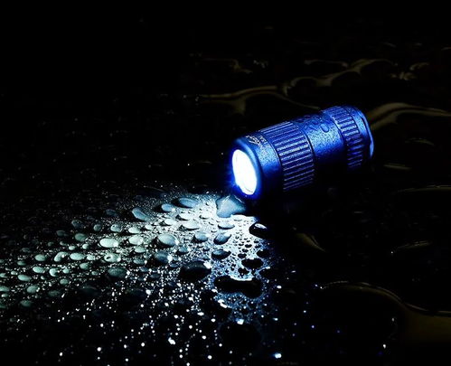 手电吧里的奇妙世界——探索独特兴趣之地