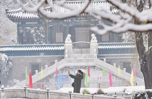 黑龙江迎来初雪啦！这雪景美得不像话