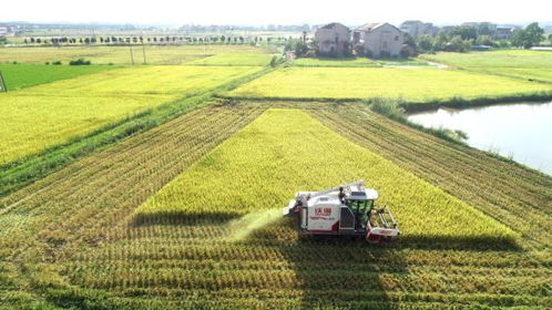 宅基地改革！农业农村部划下2条红线