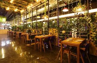 七鲜小厨的未来，你会看好它吗？