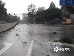 中央气象台大风暴雨双预警齐发，各地需严加防范！