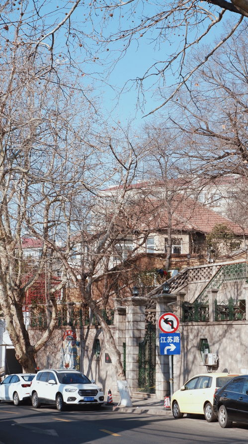 女孩在山顶俯瞰城市