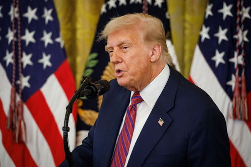 特朗普发表讲话