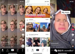 李成钢：中美就TikTok相关问题达成基本框架共识，背后故事引人深思！