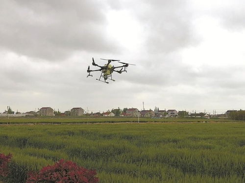 无人机正在田野里作业