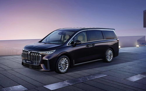 岚图梦想家前脸细节