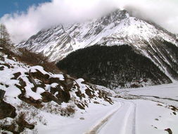 上海本周将迎断崖式降温！你准备好迎接寒冷了吗？