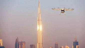 和平鸽飞翔在中美上空