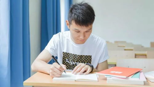 大学生情侣认真学习