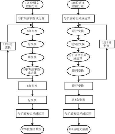 2025年国家网络安全宣传周，系列成果闪亮登场