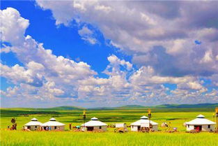 馆长要出发啦！即将踏上内蒙古之旅