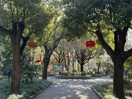 真相大白！公园自缢者并非外卖员