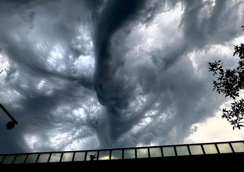 国外某地的糙面云