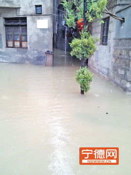 许昌被淹的民房