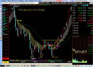 股市受政策影响波动
