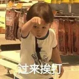 网警重拳出击！打掉侵公犯罪团伙，抓获主犯2人，移交260人