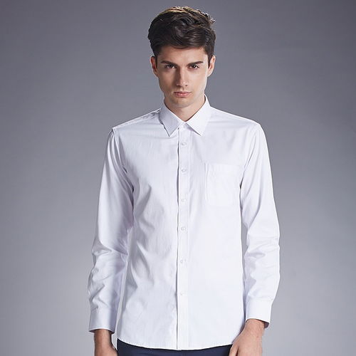 经典的商务衬衫