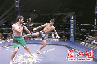 比赛中激烈对抗画面