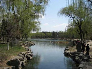 北大副校长被查背后：年轻干部监督亟待加强