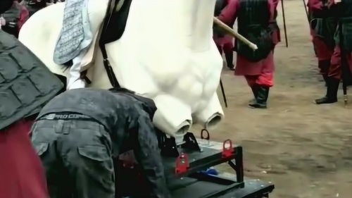 工作人员辛苦工作画面