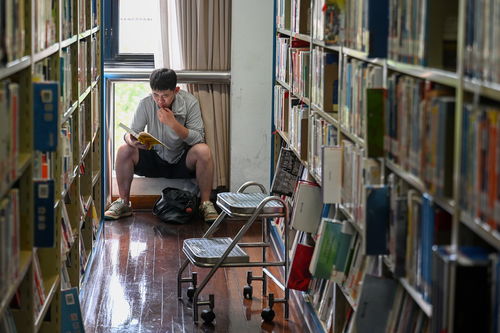 震惊！任羽中主动投案，四川文科状元的堕落之路