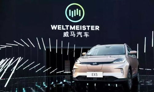 威马汽车技术研发团队