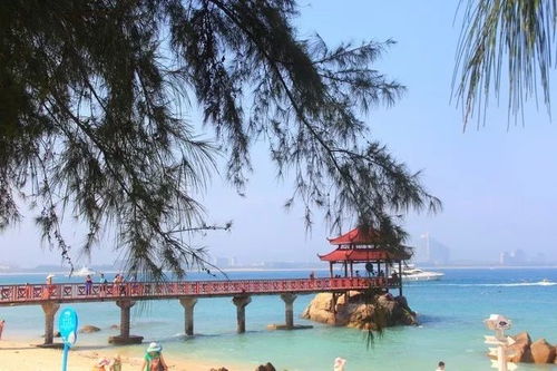 烟台男子赴泰'赚钱'失联超一周，妻子报警后惊现曼谷