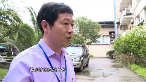 七旬老太追星超疯狂，只为看戏凌晨三点都不睡