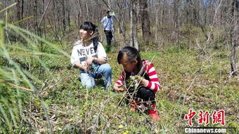 学生植物园活动
