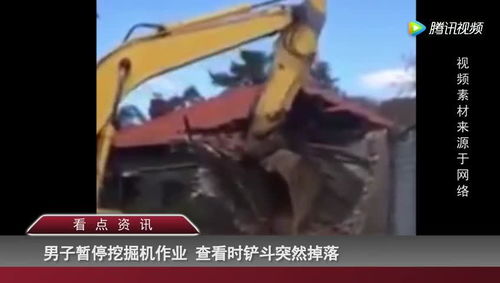 牛背鹭停在挖机铲斗上