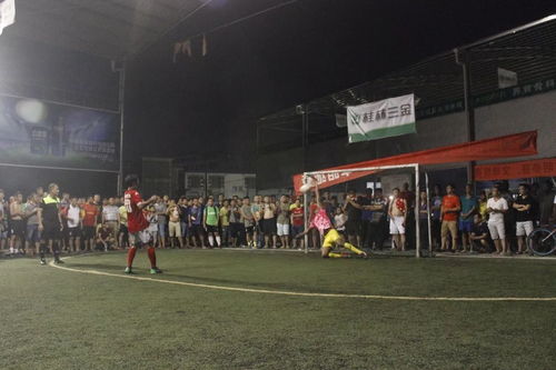 成都蓉城对决蔚山现代：一场足球盛宴背后的精彩故事