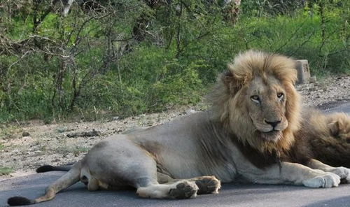 独家揭秘：外交部连发三个停止背后的故事