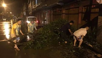 遭受打击后的公司景象