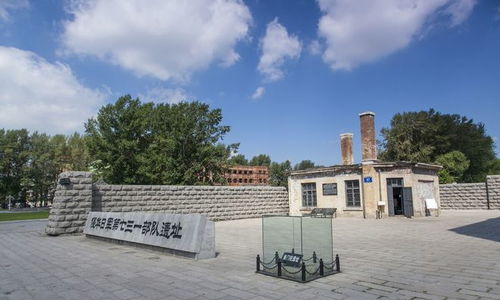 电影《731》明日震撼上映！