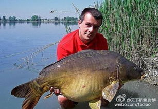 男子钓上巨无霸！53斤大鱼被绑后备箱炫耀