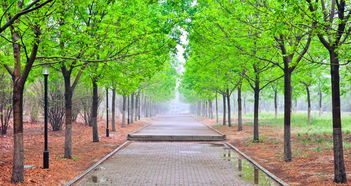 甘肃高校疑似女生校内分娩？校方火速回应来了！