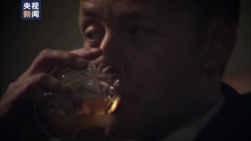 《731》适合带孩子观看吗？深度剖析！