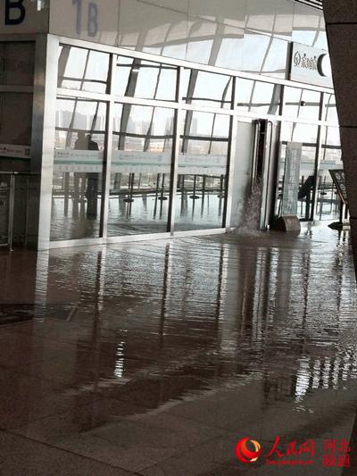 中国美术学院水管爆裂后续，校方回应引关注！