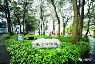 惠州三地停课！背后真相令人担忧