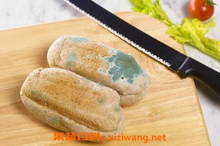 上海小学午餐发臭事件大揭秘！